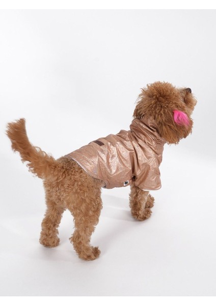 Parlak Hologram Su Geçirmez Köpek Yağmurluğu, Mont, Ceket, Metalik Renk fiyatları