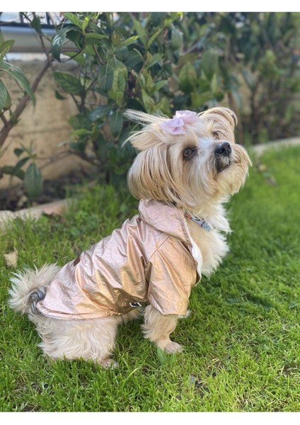 Parlak Hologram Su Geçirmez Köpek Yağmurluğu, Mont, Ceket, Metalik Renk modelleri