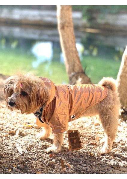 Parlak Hologram Su Geçirmez Köpek Yağmurluğu, Mont, Ceket, Metalik Renk indirimleri