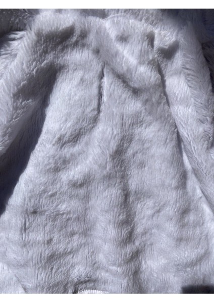 Parlak Hologram Su Geçirmez Köpek Yağmurluğu, Mont, Ceket, Metalik Renk