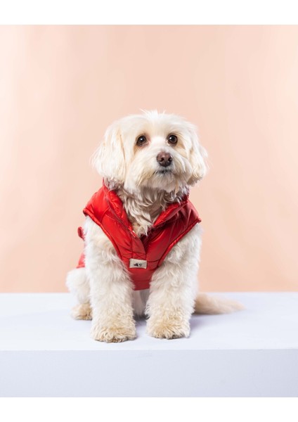Kırmızı Puffer Yelek, Köpekler Için Rahat ve Şık Üst Giyim