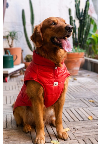 Kırmızı Puffer Yelek, Köpekler Için Rahat ve Şık Üst Giyim