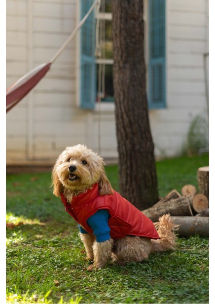 Kırmızı Puffer Yelek, Köpekler Için Rahat ve Şık Üst Giyim