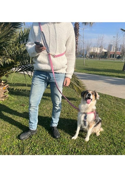 Gri Dönüştürülebilir Köpek Boyun Tasması, Rahat ve Şık Tasarım fırsatları