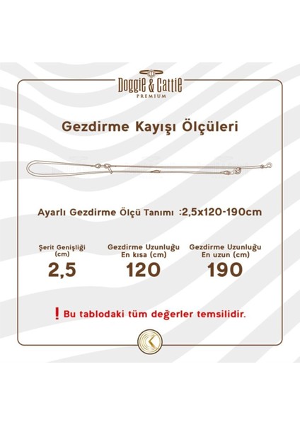 Boğmalı Ayarlı Deri Köpek Gezdirme Kayışı, 150CM, Kahverengi indirimleri
