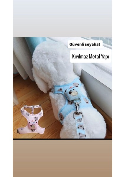 Mavi Göğüs Tasması Çiftli Set, Köpekler Için Rahat ve Şık Tasarım fiyatları
