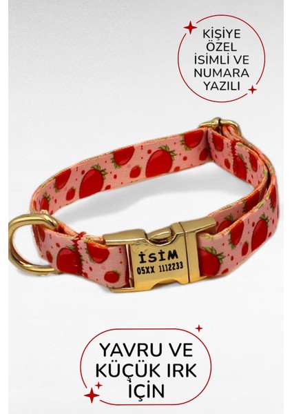 Çok Renkli Yavru Köpek Boyun Tasması, Metal Kilit, 1,5 Cm, Güçlü ve Şık
