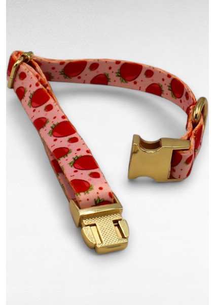 Çok Renkli Yavru Köpek Boyun Tasması, Metal Kilit, 1,5 Cm, Güçlü ve Şık fırsatları
