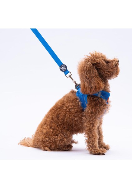 Mavi Renkli Köpek ve Kedi Için Dayanıklı ve Hafif Uzatma Tasması, Konforlu Kullanım Sağlar