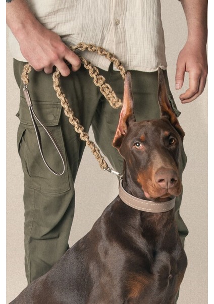 Kahverengi Köpek Tasması ve Gezdirme Kayışı, Dayanıklı ve Şık Tasarım fırsatları