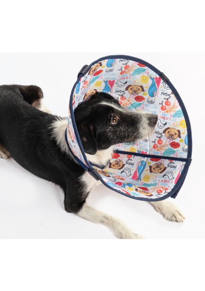 Çok Renkli Rahat ve Ayarlanabilir Köpek Yakalığı, Koruma Boyunluğu modelleri