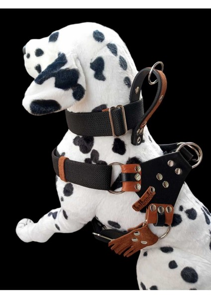 Siyah Büyük Irk Köpek Göğüs ve Boyun Tasmalı Set 60-100CM/30-60KG fırsatları