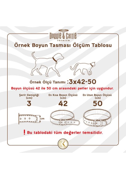 Kemerli Deri Köpek Boyun Tasması Büyük Kırmızı 4X57-65 cm indirimleri