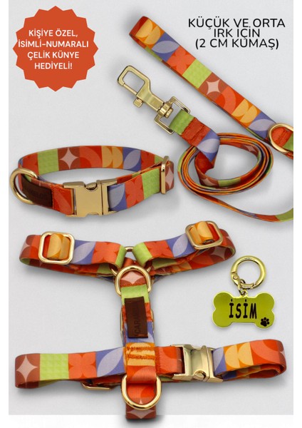 Çok Renkli, Isimli, Küçük ve Orta Irk Köpekler Için Göğüs Tasması Seti