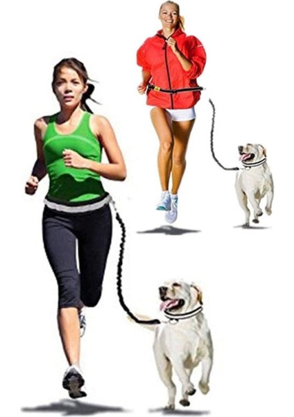 Siyah Ayarlanabilir Köpek ve Kedi Tasması, El Serbest Gezdirme Kayışı modelleri