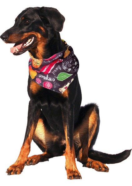 Küçük Boy Desenli Bağcıklı Köpek Fuları Bandana, Siyah, 40 cm fiyatları