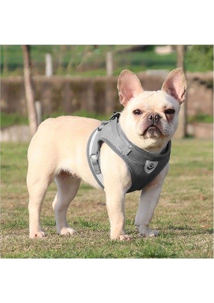 Nefes Alabilen Reflektörlü Köpek ve Kedi Vücut Tasması, Rahat ve Güvenli Kullanım