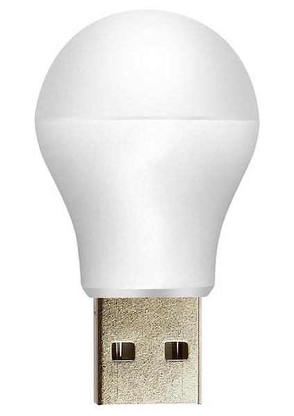 Powermaster PM-20920 5V 1A USB LED Lamba Gün Işığı