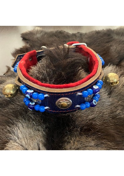 2 Zilli Deri Köpek Tasması Siyah, Dayanıklı ve Şık Tasarım