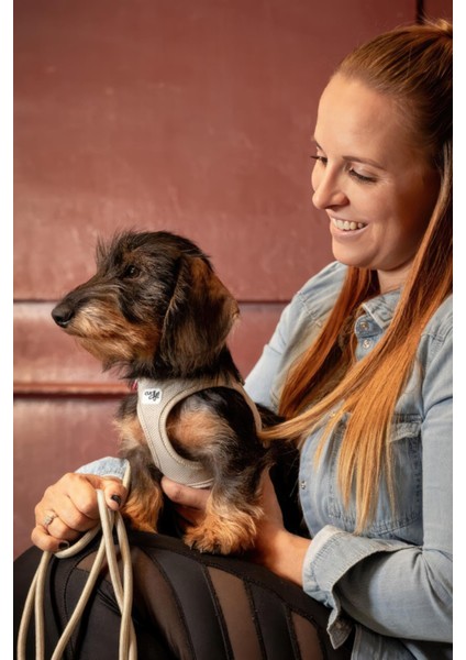 Kırmızı Hava Ağırlıklı Köpek Göğüs Tasması, Rahat ve Şık Tasarım modelleri