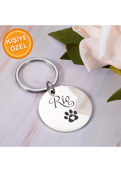 Gümüş Renkli Köpek ve Kedi Isimlikleri, Şık ve Kaliteli Tasarım