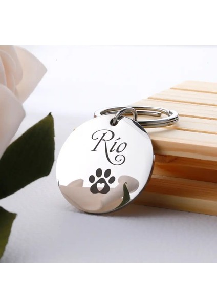 Gümüş Renkli Köpek ve Kedi Isimlikleri, Şık ve Kaliteli Tasarım modelleri