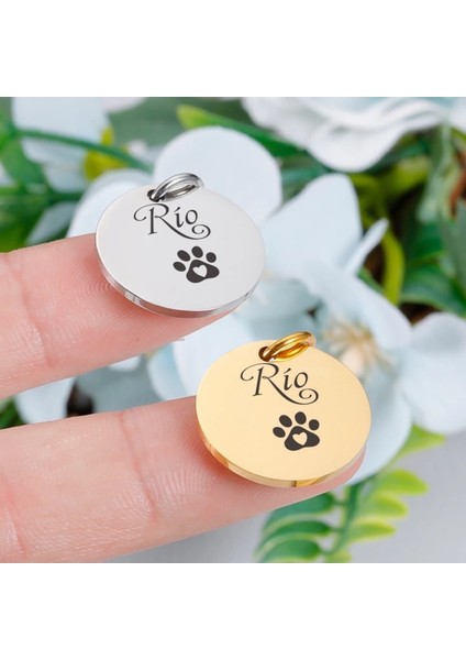 Gümüş Renkli Köpek ve Kedi Isimlikleri, Şık ve Kaliteli Tasarım fırsatları
