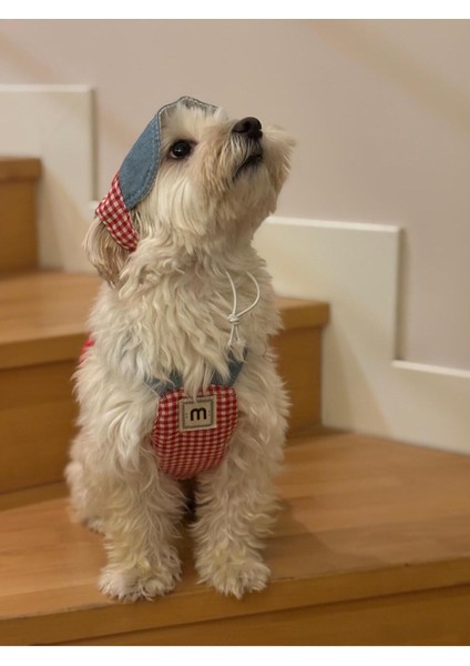 Kırmızı Köpek Göğüs Tasması, Rahat ve Şık Tasarım, Tr Menşei fiyatları