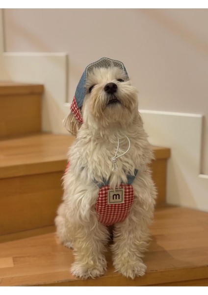 Kırmızı Köpek Göğüs Tasması, Rahat ve Şık Tasarım, Tr Menşei modelleri