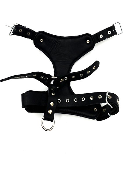 Küçük Irk ve Yavru Köpekler Için Özel Tasarım Deri Göğüs Tasması, Siyah Renk. modelleri