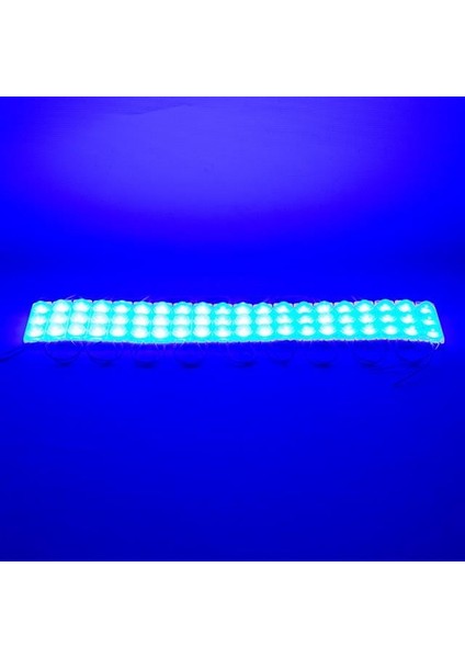 Powermaster 12 Volt 1.5 Watt Mavi 2835 69 x 16 mm IP65 160 – 180 Lümen 160 Derece Modül LED fiyatları
