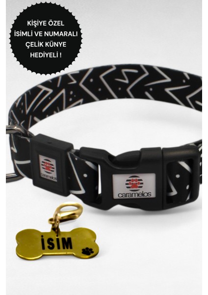 Kişiye Özel Renkli Köpek Tasma Seti, H Tipi, Göğüs ve Boyun Gezdirme, Künye fırsatları