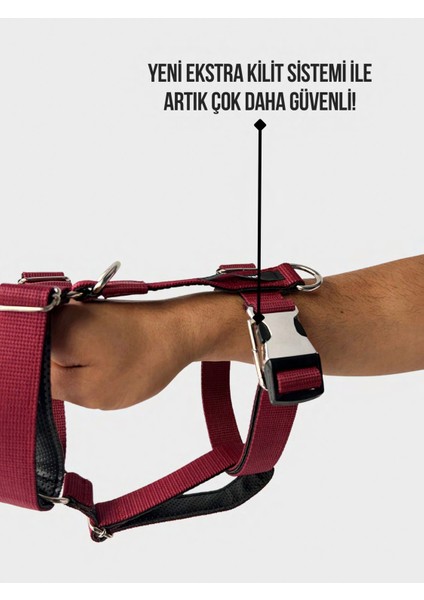 Bordo Köpek Gezdirme Tasması, Rahat ve Şık Tasarım, Tr Menşei fiyatları