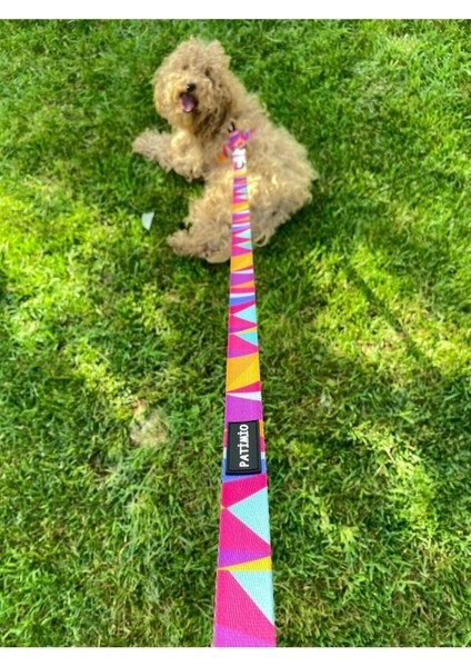Pembe Köpek Boyun Tasması ve Gezdirme Seti, Kişiye Özel, Dayanıklı ve Şık