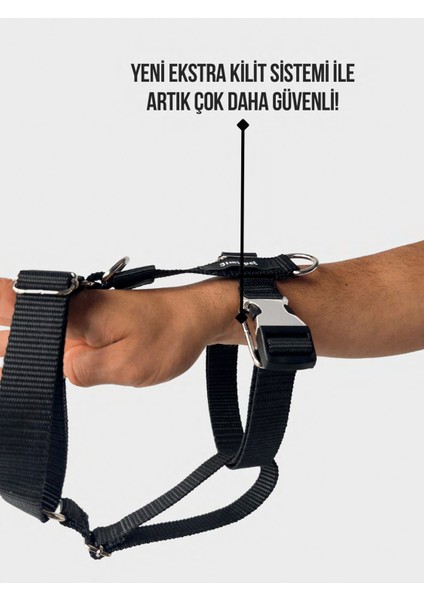 Siyah Göğüs Tasması, Konforlu ve Şık Köpek Aksesuarı fiyatları
