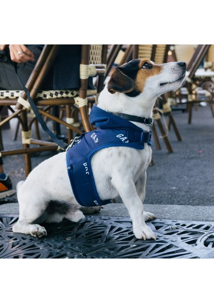Mavi Köpek Göğüs Tasması, Rahat ve Dayanıklı Tasarım fiyatları