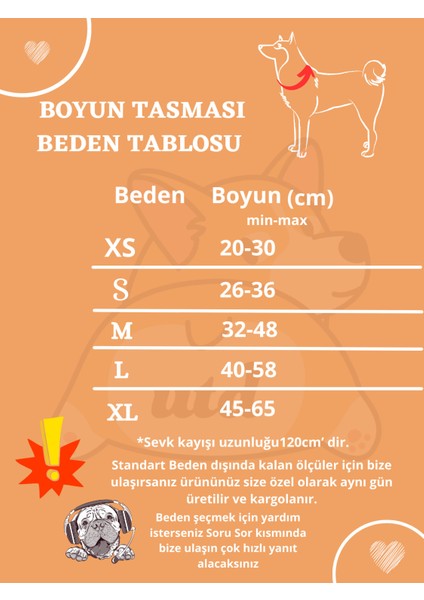 Siyah Köpek Boyun Tasması ve Gezdirme Seti, Fular Hediyeli indirimleri