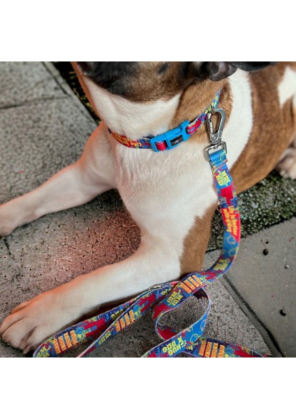 Mavi Köpek Gezdirme Tasması, Rahat ve Güvenli Yürüyüş Için Ideal modelleri