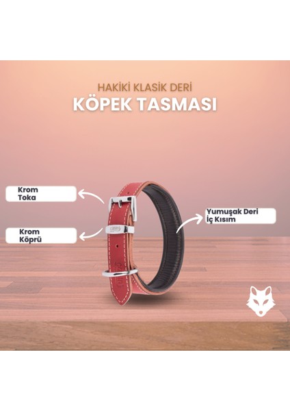 Yumuşak Deri Köpek Tasması, Dayanıklı ve Konforlu Lacivert Renk Seçenekleriyle fiyatları