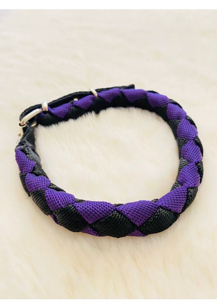 Çok Renkli Küçük ve Orta Irk Köpek Boyun Tasması 50 cm