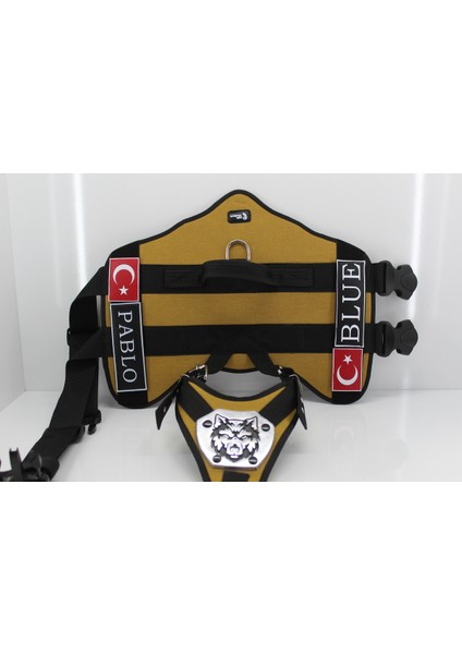 Kişiye Özel Renkli Köpek Göğüs ve Sırt Tasması Seti, Kahverengi modelleri