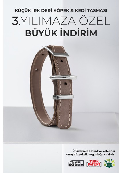 Kahverengi Küçük ve Büyük Irk Köpek ile Kedi Boyun Tasması, Dayanıklı ve Şık Ürün