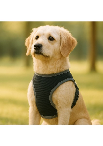 Yıkanabilir, Nefes Alabilir, Dayanıklı ve Klipsli Köpek Göğüs Tasması, Çeşitli Boyutlarda