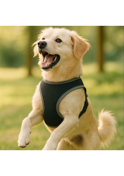 Yıkanabilir, Nefes Alabilir, Dayanıklı ve Klipsli Köpek Göğüs Tasması, Çeşitli Boyutlarda modelleri