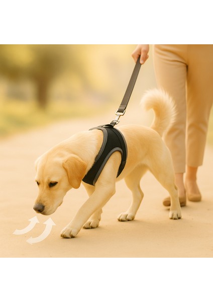 Yıkanabilir, Nefes Alabilir, Dayanıklı ve Klipsli Köpek Göğüs Tasması, Çeşitli Boyutlarda fırsatları