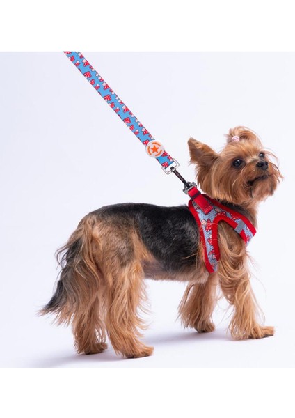 Mantar Desenli Kedi ve Köpek Gezdirme Kayışı, Kırmızı, Uzun Tasma fiyatları