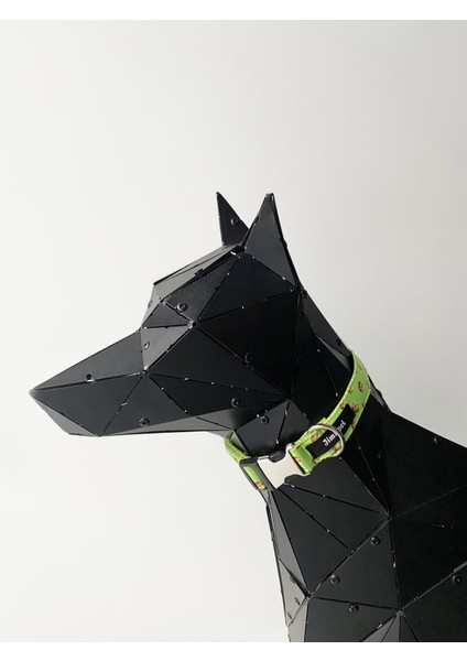 Yeşil Köpek Göğüs Tasması Seti, Konforlu ve Şık Tasarım! indirimleri