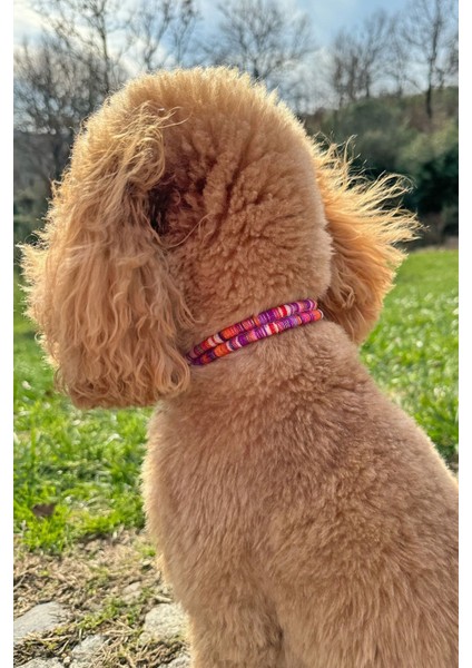 Çok Renkli Ip Halat Kedi Köpek Boyun Tasması Charm Uçlu Gümüş Rengi fırsatları