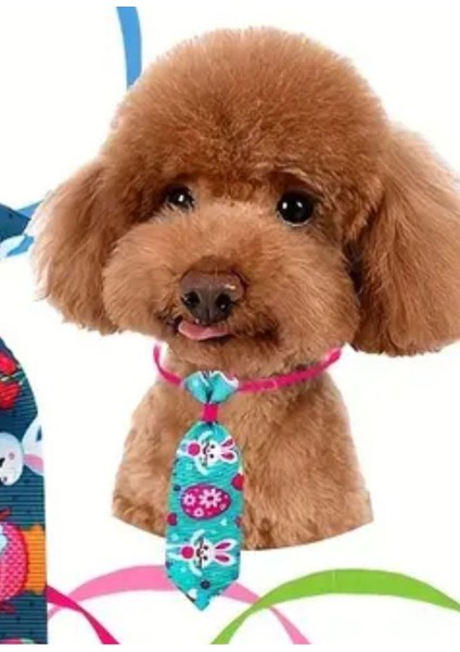 Renkli Desenli Ayarlanabilir Köpek ve Kedi Tasması, 1 Adet