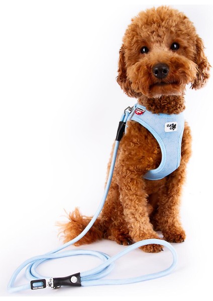 Mavi Köpek Göğüs Tasması, Hafif ve Rahat Tasarım, Air Mesh Malzeme fiyatları